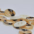 Button - Mottled Classic #1 ‘Macchiato’ - 10mm